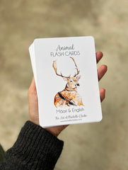 Common Animal Flash Cards