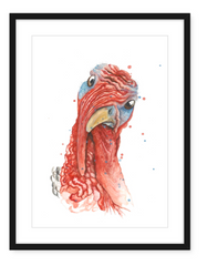 Turkey - Watercolour Print - 7 available