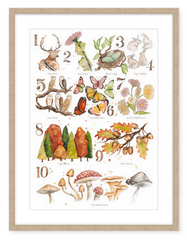 Woodland 123 - Watercolour Art Print