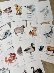 Common Animal Flash Cards