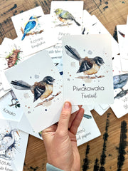 NZ Animal Flash Cards