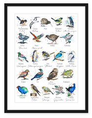 Aotearoa Native Birds - Watercolour Print