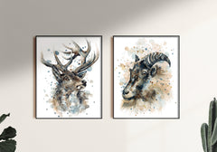 Mountain Tahr - Watercolour Art Print