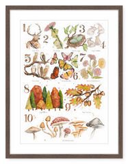 Woodland 123 - Watercolour Art Print