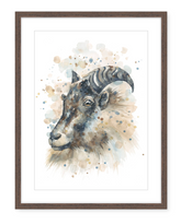 Mountain Tahr - Watercolour Art Print