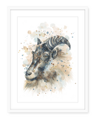 Mountain Tahr - Watercolour Art Print