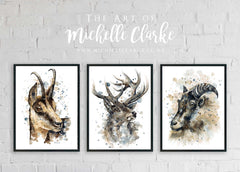 Mountain Tahr - Watercolour Art Print
