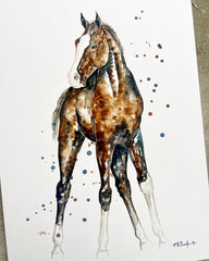 Little Colt - Watercolour Mini Print