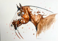 Appaloosa - Watercolour Mini Print