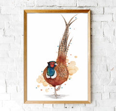 Pheasant - Watercolour Art Print