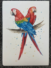 Red Parrots - A4 & A3 Watercolour Prints - 8 available