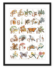 Woodland ABC - Watercolour Art Print