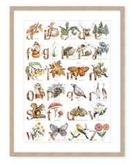 Woodland ABC - Watercolour Art Print