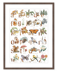 Woodland ABC - Watercolour Art Print