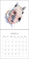 PRE-ORDER 2027 Calendar 2x Bundle Deal