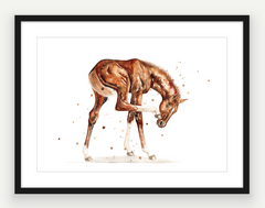 Chestnut Filly - Watercolour Print - PRINT OF THE WEEK 25% OFF