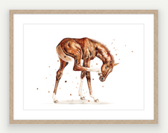 Chestnut Filly - Watercolour Print - PRINT OF THE WEEK 25% OFF