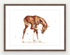 Chestnut Filly - Watercolour Print - PRINT OF THE WEEK 25% OFF