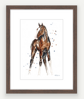 Little Colt - Watercolour Mini Print