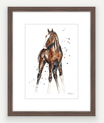 Little Colt - Watercolour Mini Print