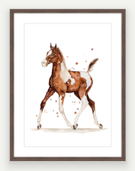 "Pinto Filly" - Original Painting