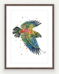Kea - Aotearoa Florals Collection - Watercolour Print