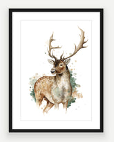 Fallow Stag - Watercolour Art Print