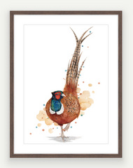 Pheasant - Watercolour Art Print