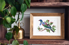 Kereru - Aotearoa Florals Collection - Watercolour Print