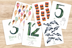 Counting 1 - 20 Flash Cards