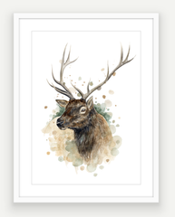 Wapiti Stag - Watercolour Art Print