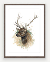 Wapiti Stag - Watercolour Art Print