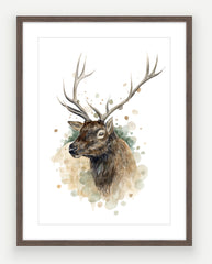 Wapiti Stag - Watercolour Art Print