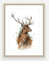 Red Stag - Watercolour Art Print - PRINT OF THE WEEK 40% OFF