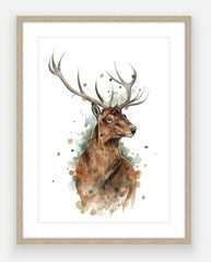 Red Stag - Watercolour Art Print