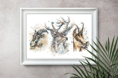 Three Kings - Limited Edition Print