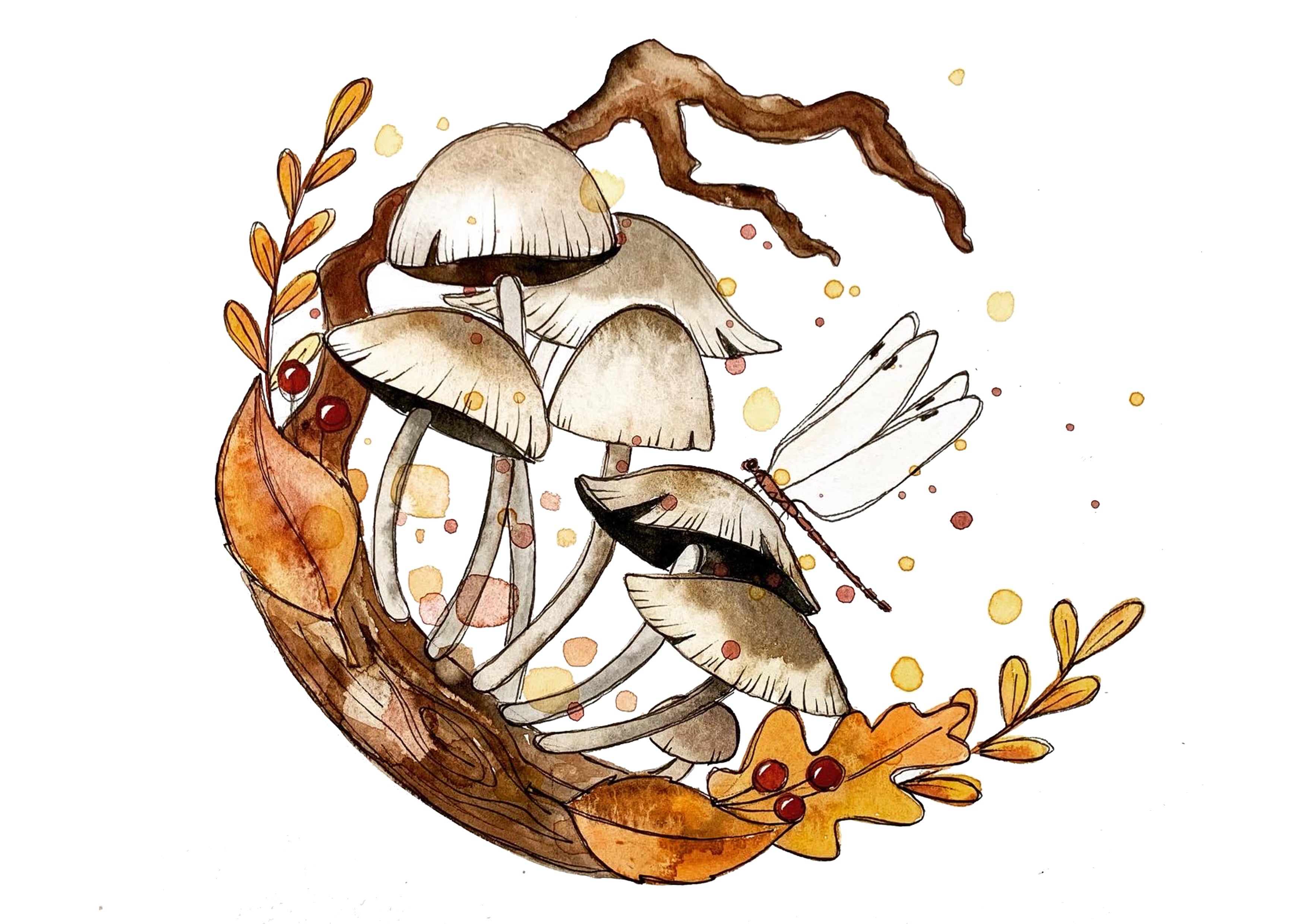 Mushrooms 2 - Watercolour Mini Print
