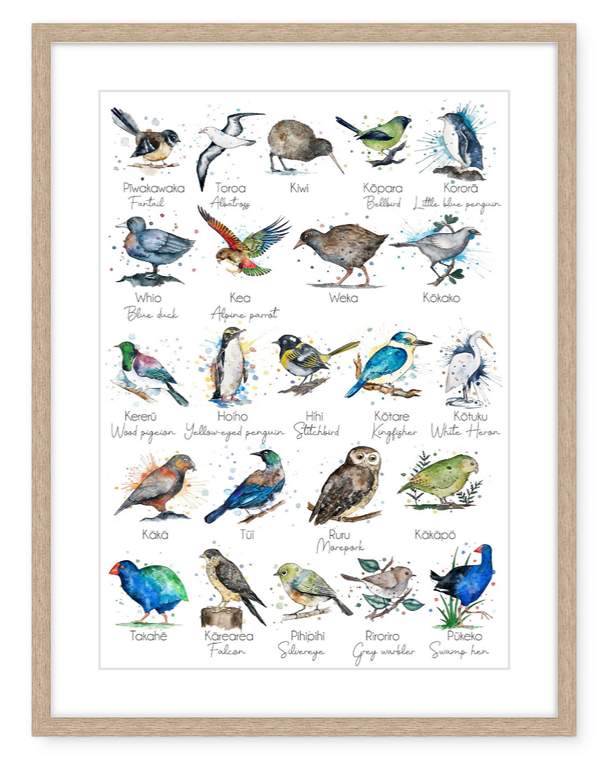 Aotearoa Native Birds - Watercolour Print