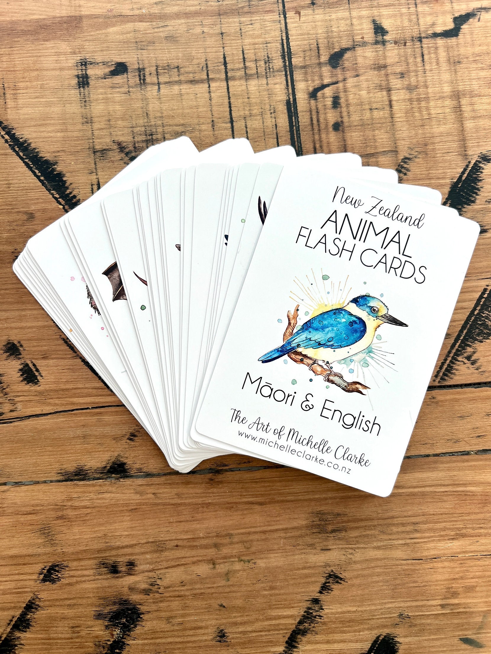 NZ Animal Flash Cards