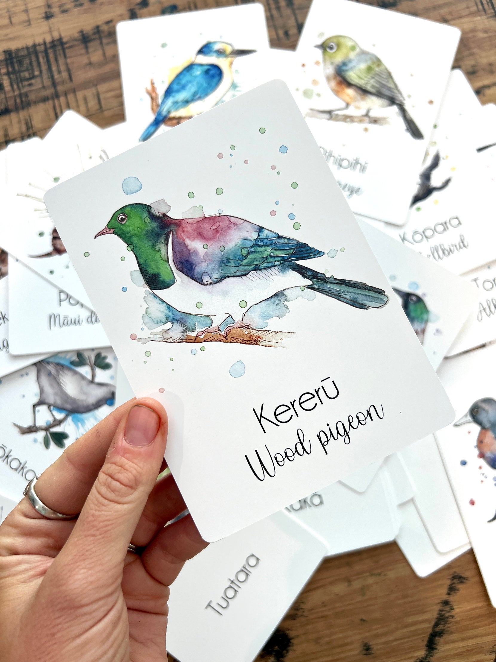 NZ Animal Flash Cards