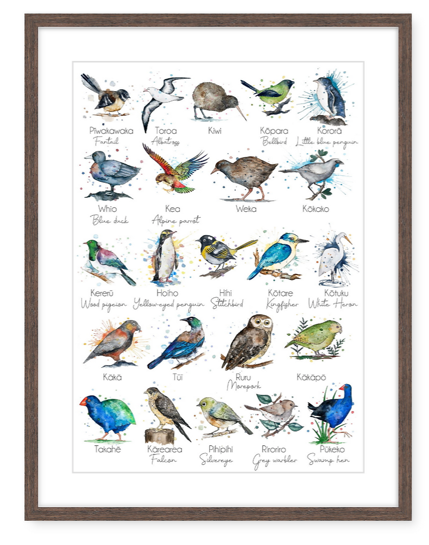Aotearoa Native Birds - Watercolour Print
