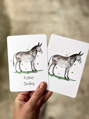 Common Animal Flash Cards