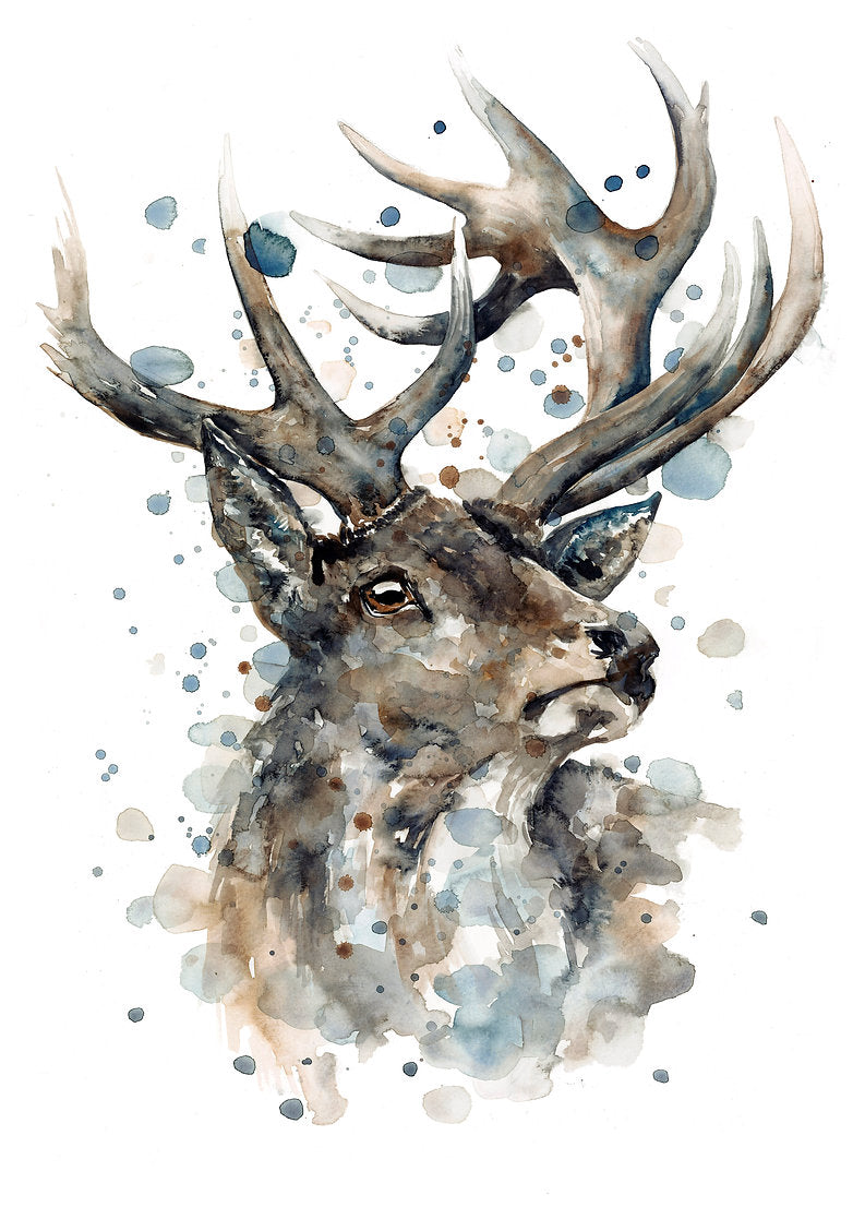 Watercolour Animal Greeting cards