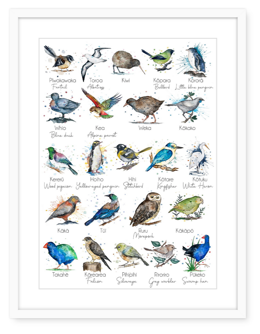 Aotearoa Native Birds - Watercolour Print