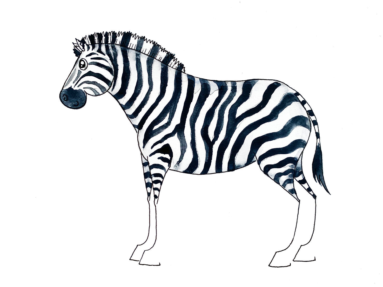 Zebra - Vinyl Sticker