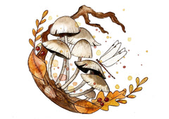 Mushrooms 2 - Watercolour Mini Print