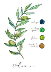 Olive - Watercolour Mini Print