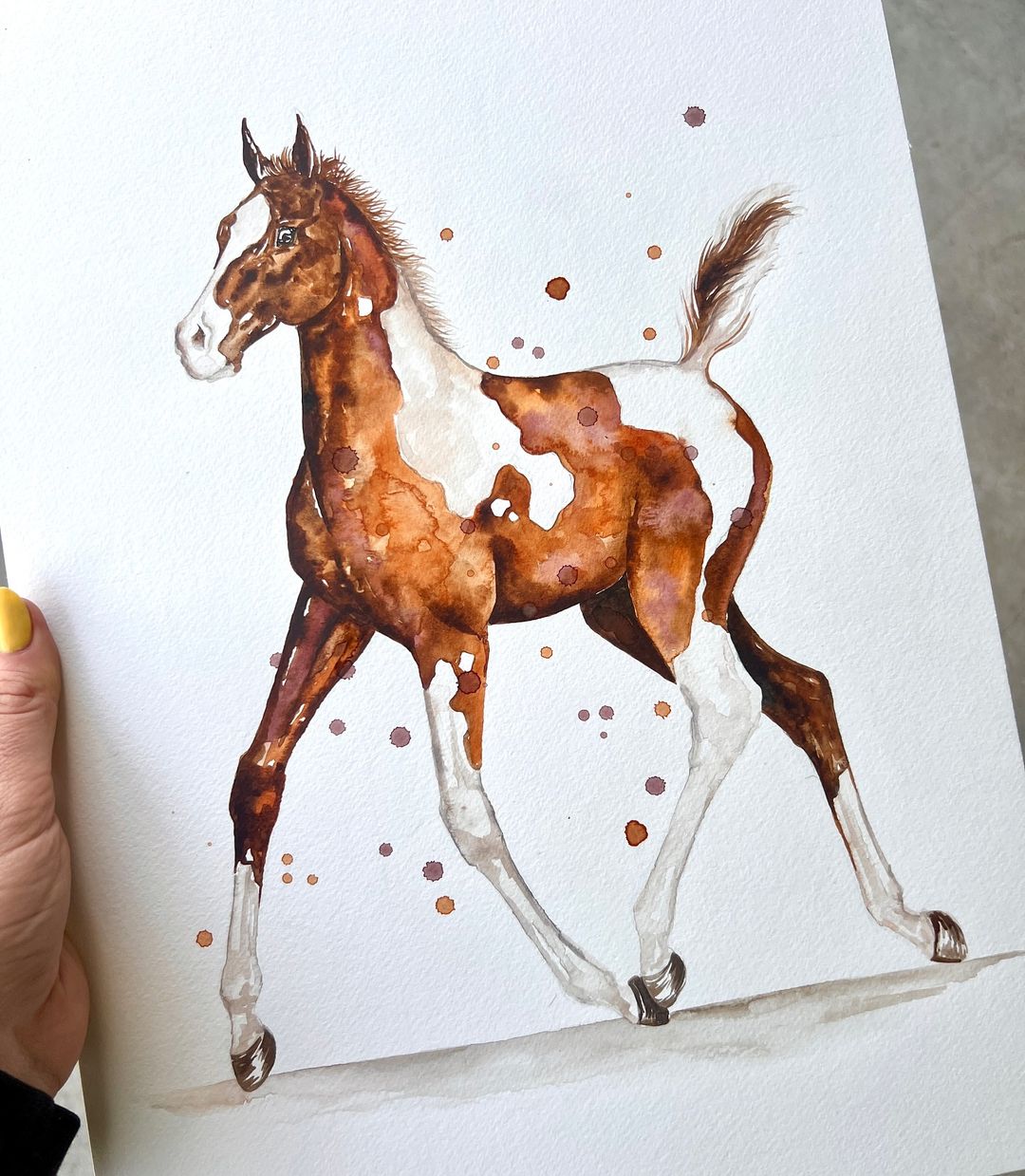 Pinto Filly - Watercolour Print