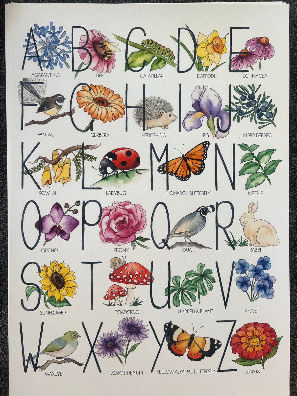 Floral ABC - A2 Watercolour Print - 1 available