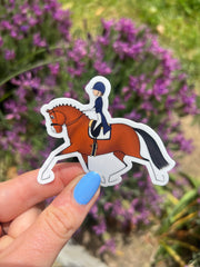 Bay Dressage Horse - Vinyl Sticker